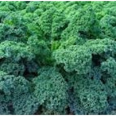 Капуста кале листовая Капрал 1 гр
