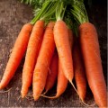 Mорковь Фламир 2 гр