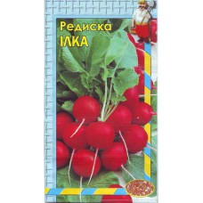 Редис Илка  3 гр